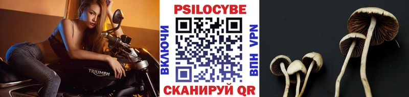 Галлюциногенные грибы прущие грибы  купить наркотики сайты  Кола 
